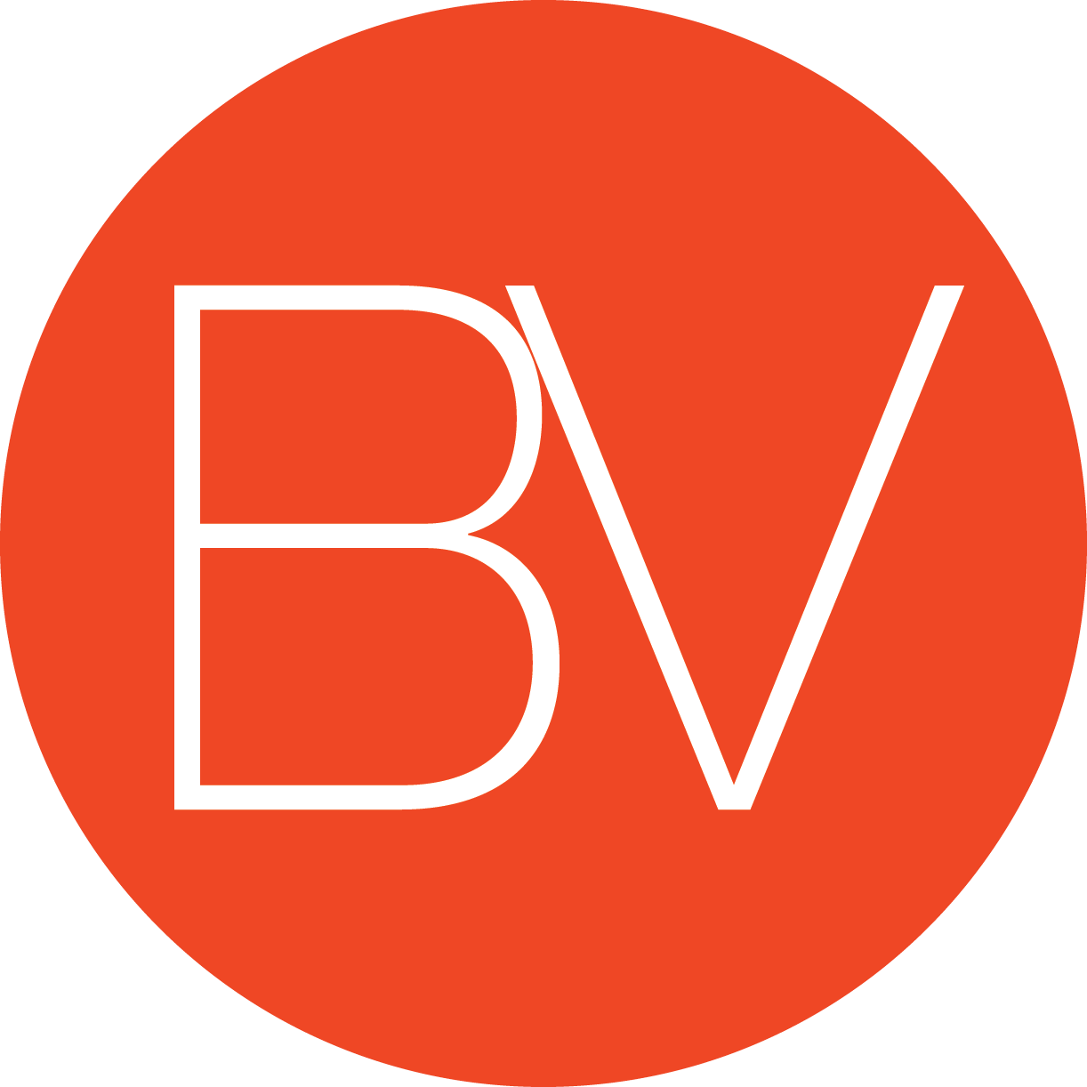 BV Digital Marketing Agency
