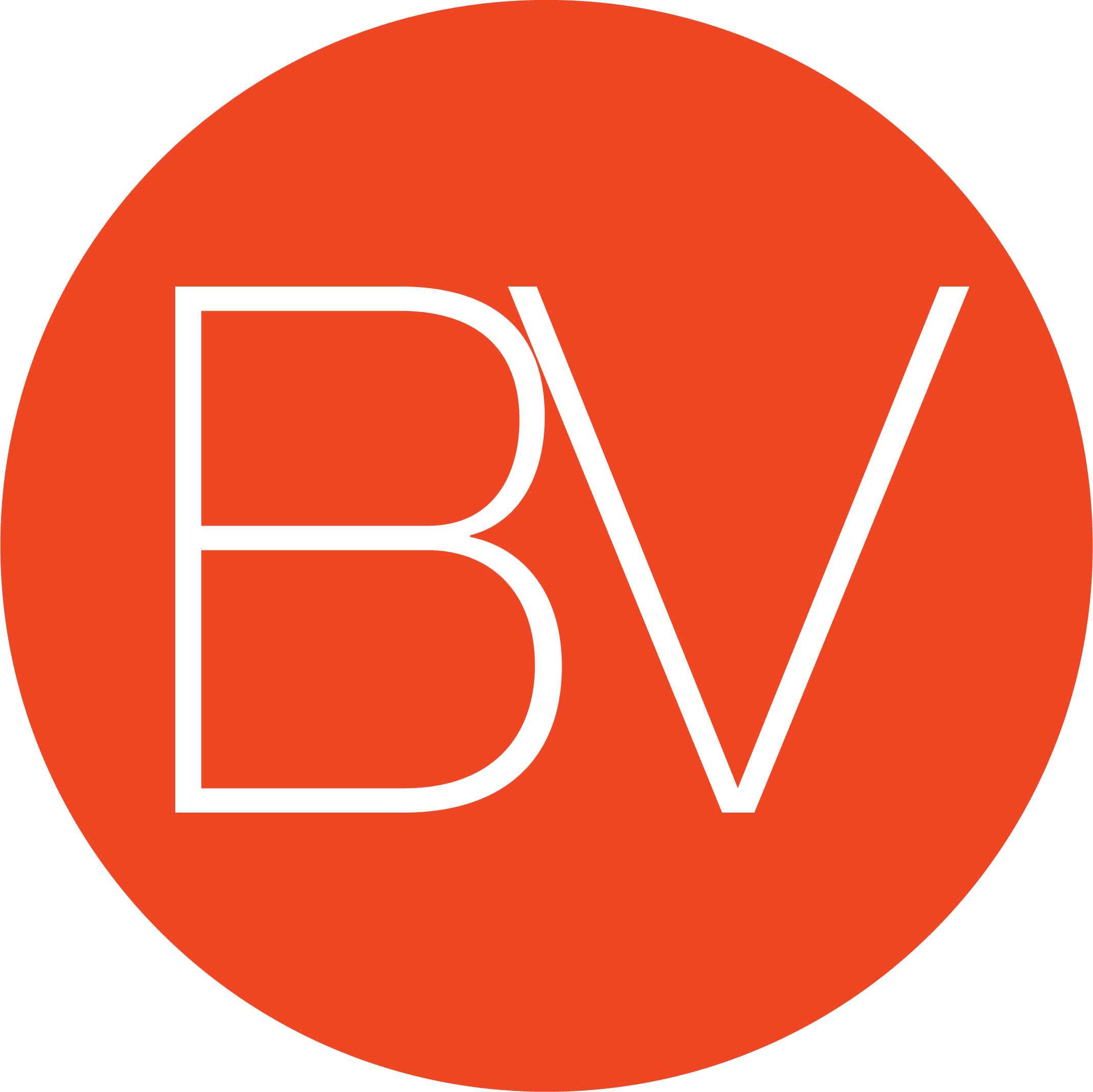 BV Marketing Agency
