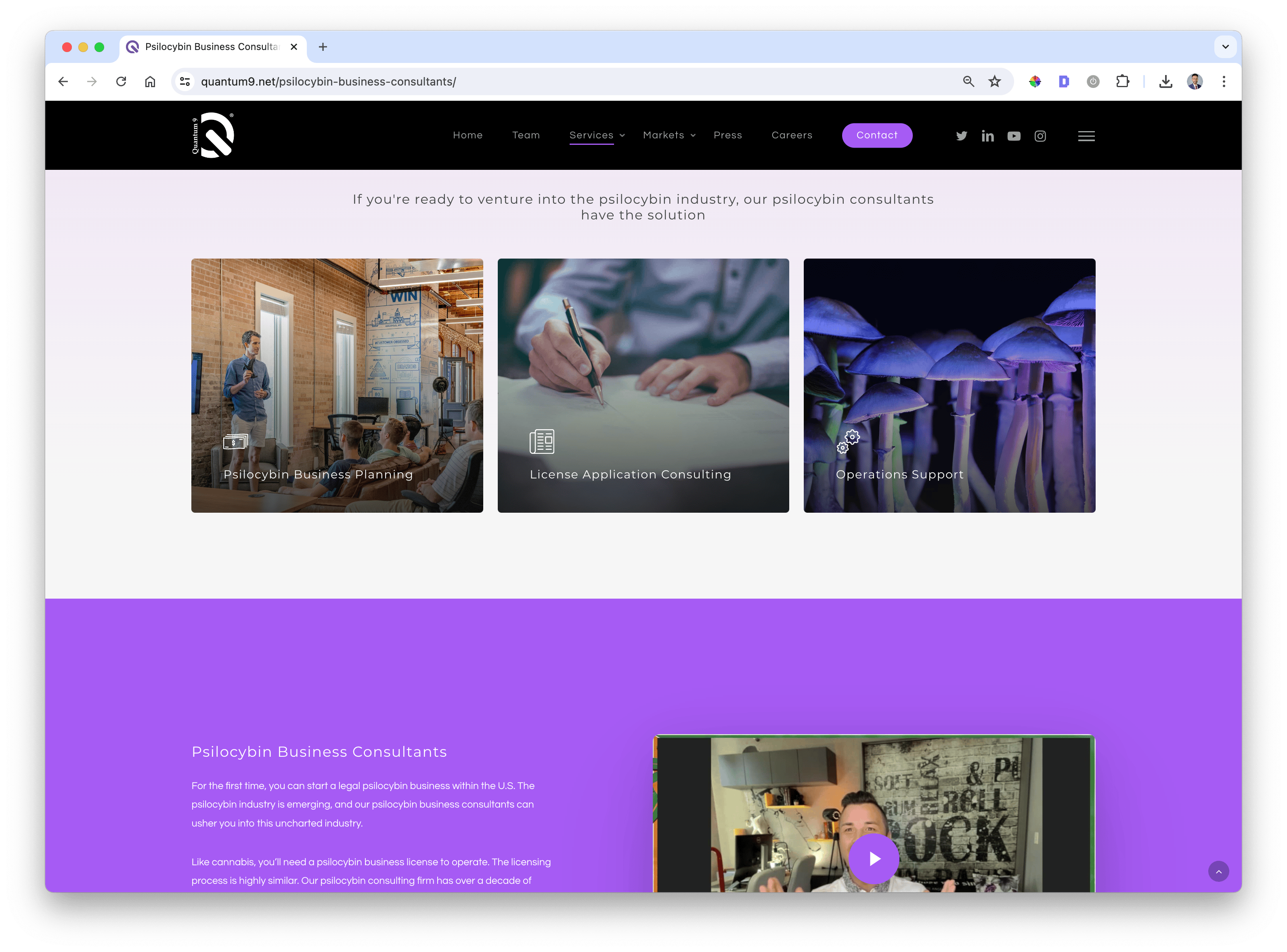 browser psilocybin consulting