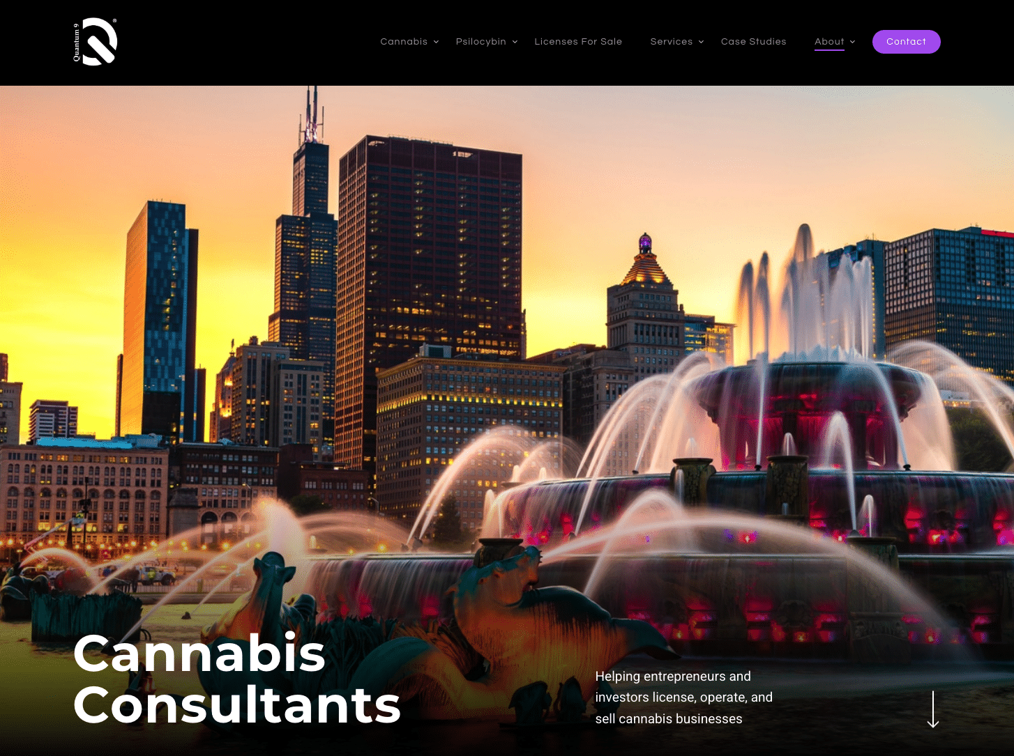 best cannabis web design agency