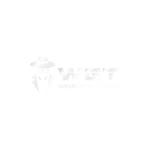 Wise Guy Team Logo